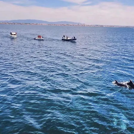 Laura By Algarve Vacation * Albufeira